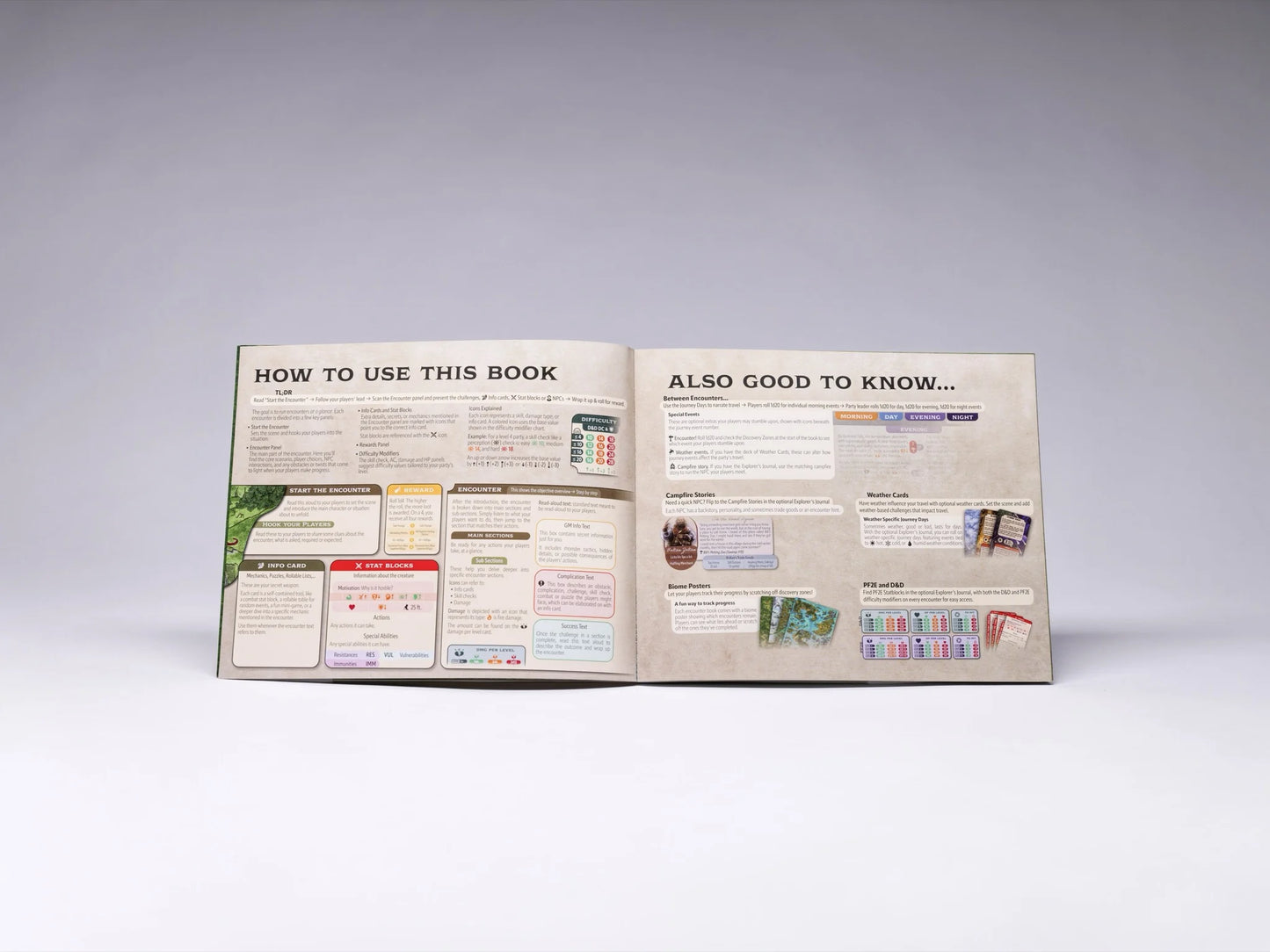Into the Wild: Swamp Encounter Book